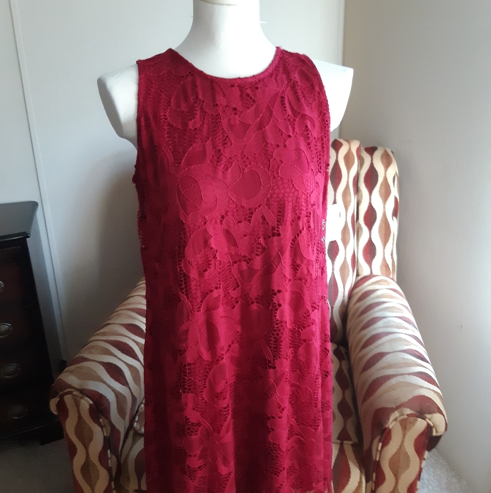 NWT RN Studio Dress by Ronnie Nicole